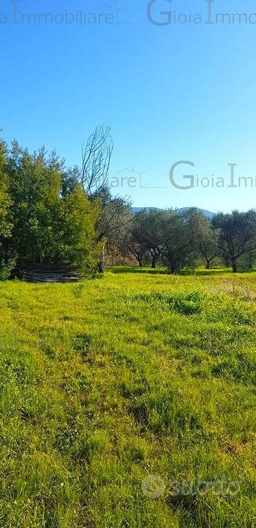 Terreno di 3360 m² a Sessa Aurunca - Vista 6