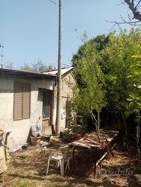 Terreno con rusticò