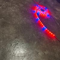 Striscia led 5 metri