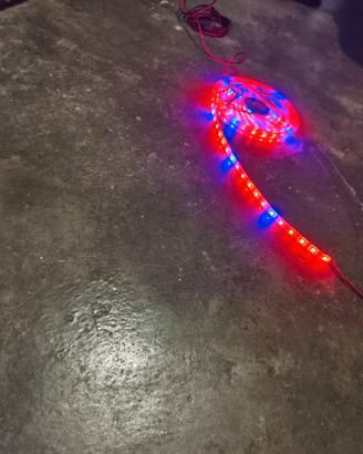 Striscia led 5 metri