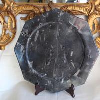 Piatto grande in pietra calcare orthoceras