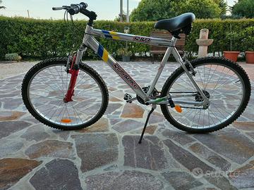 Mountain bike ragazzo 