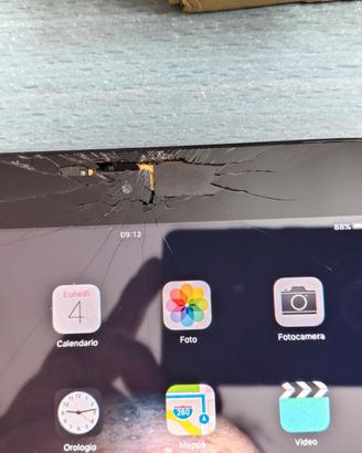 iPad A1455