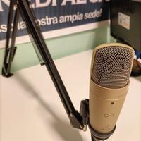 microfono a condensatore + braccio + cavo XLR