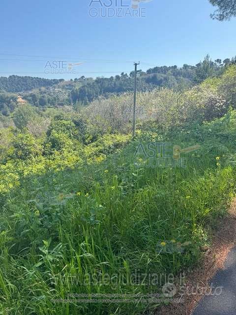 Terreno Agricolo Montesilvano [A4335307] - Vista 3