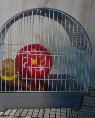 gabbia per uccellini