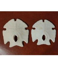 Conchiglia DOLLARO DI SABBIA punta di freccia 2 pz