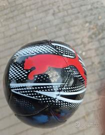 Palla Puma