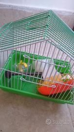 gabbietta per criceto 🐹