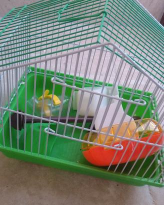 gabbietta per criceto 🐹
