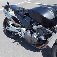 Power Titanium Roadsitalia Honda Hornet 600