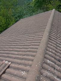 Tegole coppo di francia