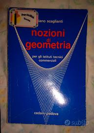 Luciano Scaglianti - Nozioni di geometria