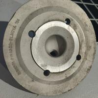 testa primavera pinasco