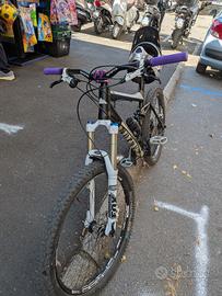canyon nerve am 7