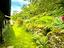 Immagine 25