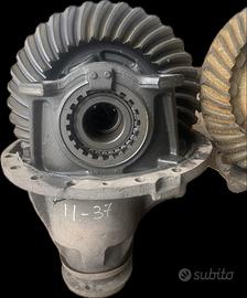 Gruppo differenziale stralis iveco ms17x rapporto