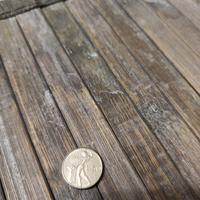 moneta piccola 50 lire 