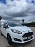 ford-fiesta-1-5-tdci-75cv-black-white-edition