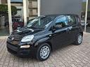 fiat-panda-1-0-hybrid-adas-pack-city-my-25-km0