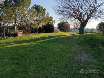 Terreno ha 7,7 con magazzino agricolo