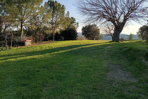 Terreno ha 7,7 con magazzino agricolo