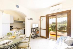 Disponibile immediata