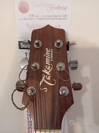 Chitarra acustica Takamine EG260C amplificata
