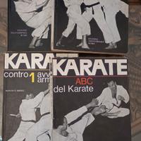 VOLUMI ARTI MARZIALI  AUGUSTO BASILE