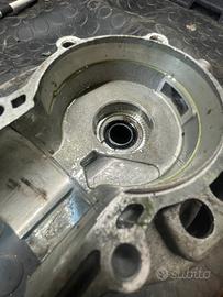 Carter ciao piaggio elettronici