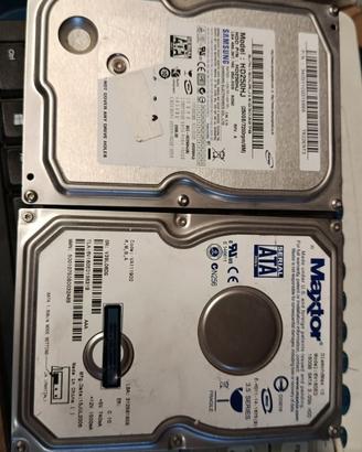 n. 2 hard disk 160gb e 250gb