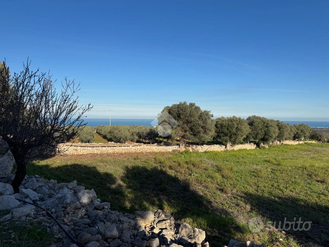 TER. AGRICOLO A POLIGNANO A MARE - Vista 5