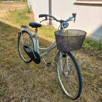 Bici da donna Apollonio