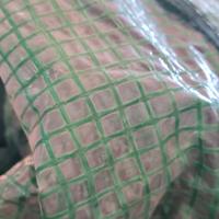 copertura serra per piante