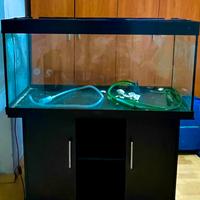 Juwel acquario 300 l