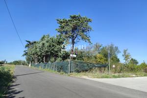 Terreno Residenziale Termoli [Cod. rif 3180490VRG]