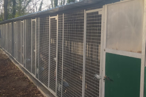 Canile con 11 Box cani