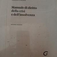 Manuale di diritto della crisi e dell'insolvenza 