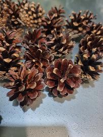 Pigne naturali 40pz 