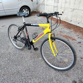 bici Mountain bike ragazzo 