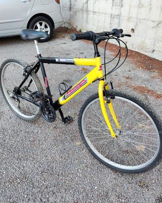 bici Mountain bike ragazzo 