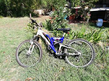 bicicletta Mountain bike 20'