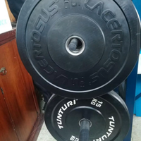 Bilanciere Olimpico da 20kg+ Dischi Bumper
