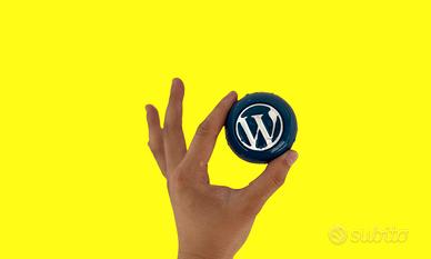 Sviluppatore Wordpress - Wordpress Developer
