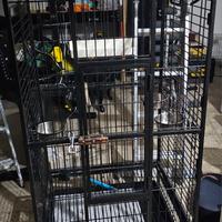 gabbia per pappagallo