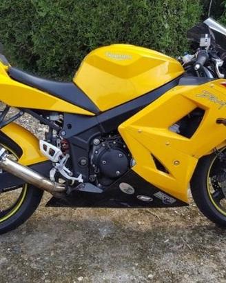 Special Titanium Black Triumph Baby Speed 600