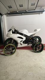 Kawasaki zx6r 2010 pronto pista