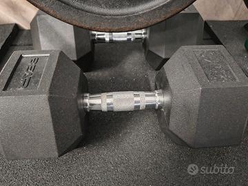 Coppia manubri 25 ig