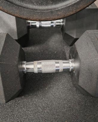 Coppia manubri 25 ig