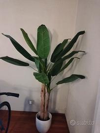Pianta di banano finta 